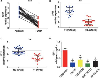 GFI1-Mediated Upregulation of LINC00675 as a ceRNA Restrains Hepatocellular Carcinoma Metastasis by Sponging miR-942-5p